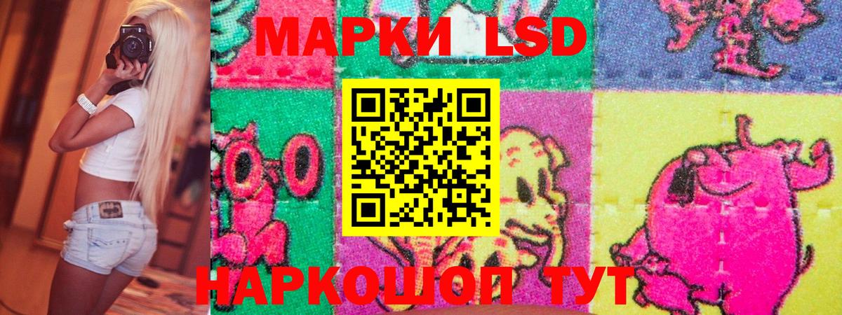 Псилоцибиновые грибы Барнаул