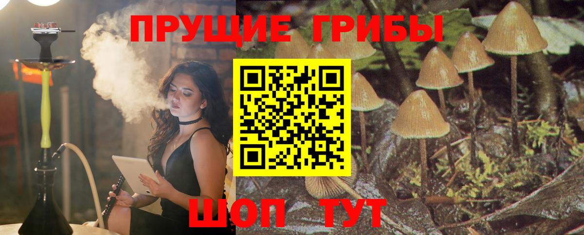 Барнаул  Псилоцибиновые грибы Psilocybine cubensis  купить наркоту  Вход с VPN  Галлюциногенные грибы GOLDEN TEACHER 