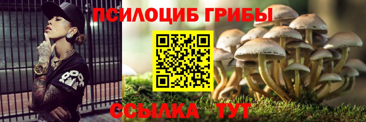 Галлюциногенные грибы мухоморы Барнаул